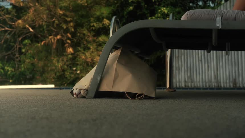 A small kitten plays inside a brown paper bag under a poolside lounge chair