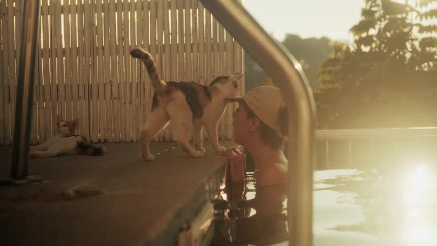 A curious calico cat receives a gentle kiss from a woman relaxing in a swimming pool during a warm, golden sunset