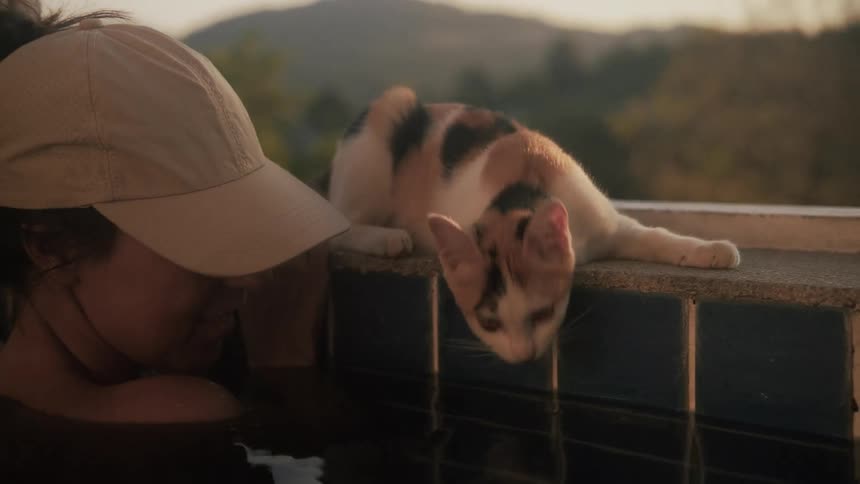 A woman in a swimming pool shares a tender moment with a cat that is drinking from the water's edge during a warm sunset