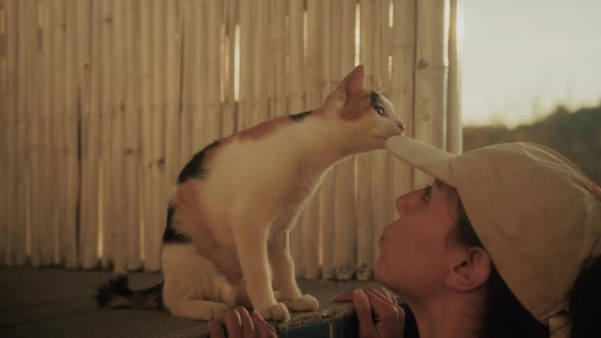 A woman in a pool befriends a curious calico cat sitting on the edge, sharing a gentle and playful moment