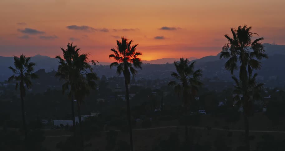 Silhouetted palm trees sway in the breeze against a colorful sunset sky over the Hollywood Hills, revealing the iconic sign