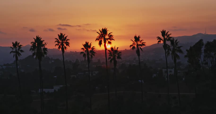 The sun sets behind silhouetted palm trees, casting a warm golden glow over the Hollywood Hills in this scenic time-lapse