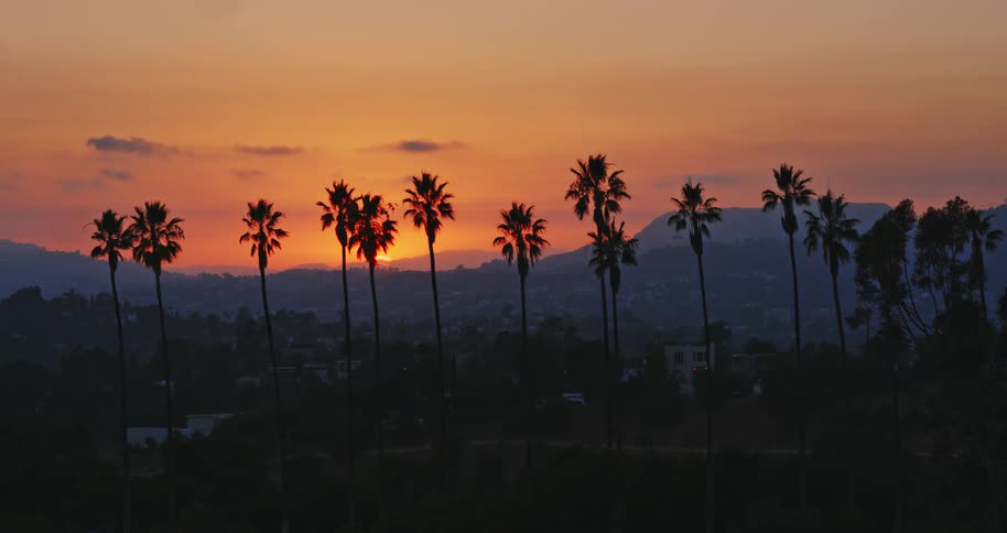 Tall palm trees are silhouetted against a brilliant orange sunset sky over the rolling hills of Southern California