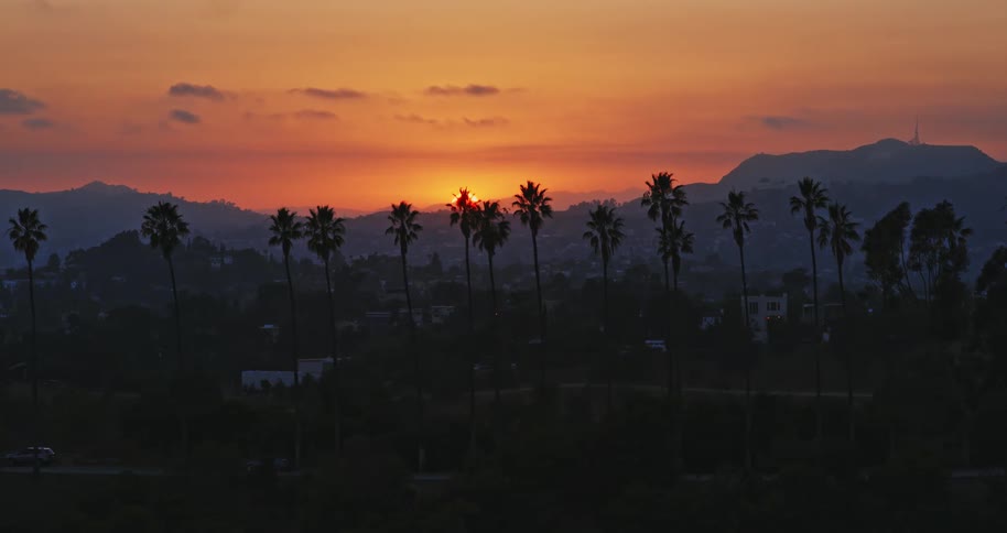 A beautiful orange sunset sinks behind the silhouetted palm trees and Hollywood Hills in Los Angeles