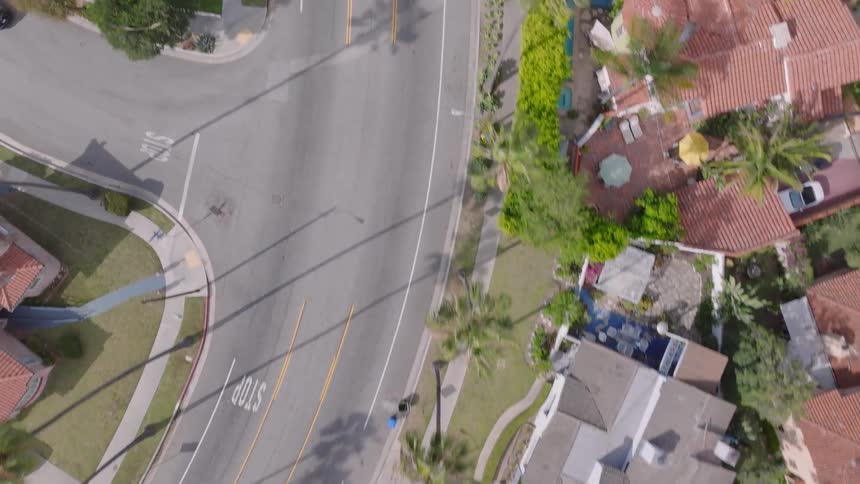 A serene top-down aerial view follows a quiet suburban street lined with beautiful homes, lush green lawns, and towering palm trees