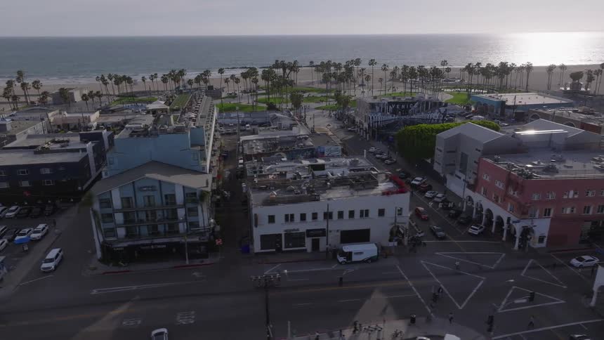 A slow aerial pan reveals the iconic Venice Beach cityscape with palm trees and the sun-kissed ocean in the distance