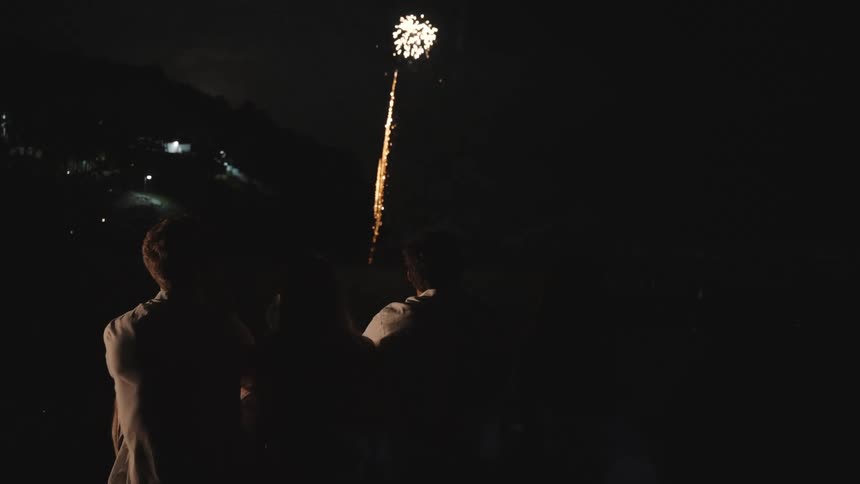 A group of friends watches fireworks light up the dark night sky from behind