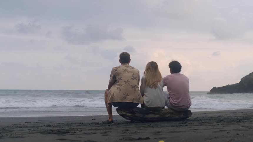 Two men and a woman sit together on a log at the beach, peacefully watching the ocean waves