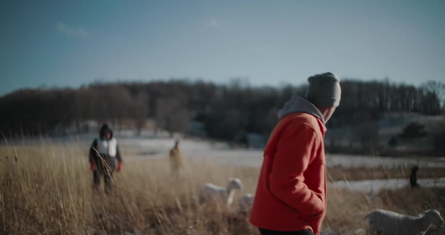 A shepherd in a bright orange jacket walks with his flock of sheep through a sunny, snow-covered field in slow motion