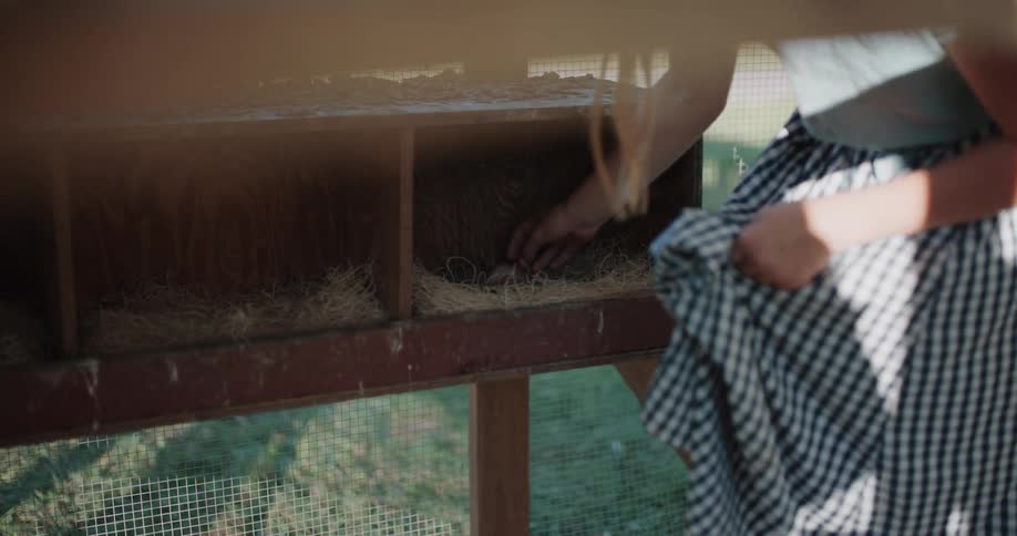 A young girl in a gingham skirt carefully collects fresh brown eggs from a rustic wooden chicken coop, using her skirt as a basket
