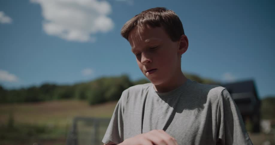 A close-up shot of a boy gently holding and petting a brown hen on a sunny day at a farm