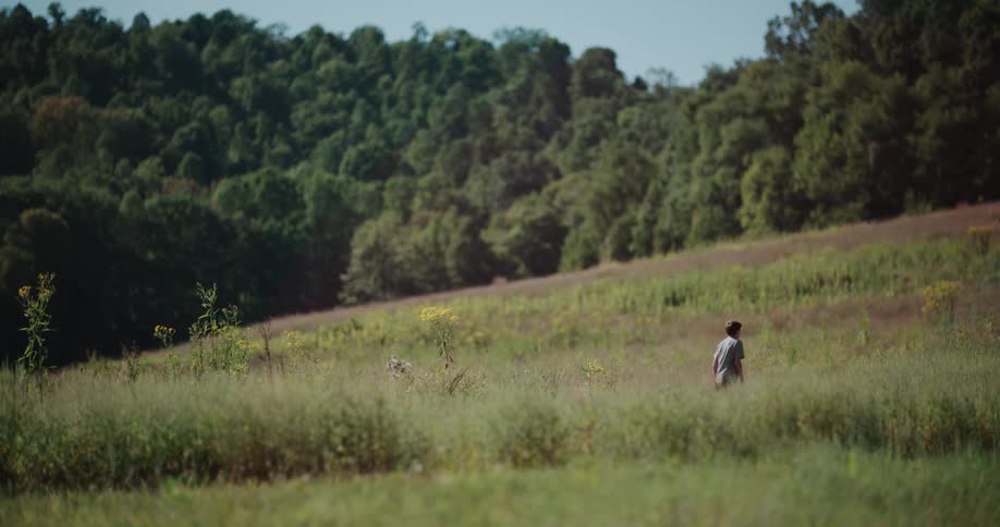 A young man walks slowly away from the camera through a tall, grassy field on a sunny day