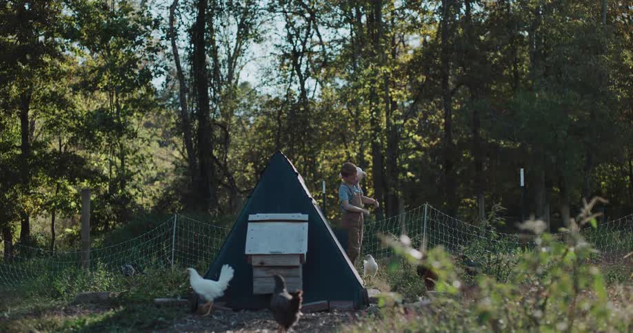 A young boy in overalls gently releases a white chicken which flies away in slow motion on a beautiful farm