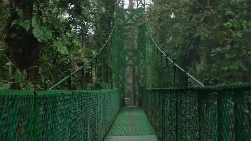 A green metal suspension bridge disappears into the dense, foggy canopy of a lush rainforest