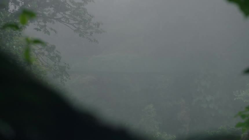 A slow zoom reveals a hanging bridge shrouded in thick fog deep within a lush green jungle