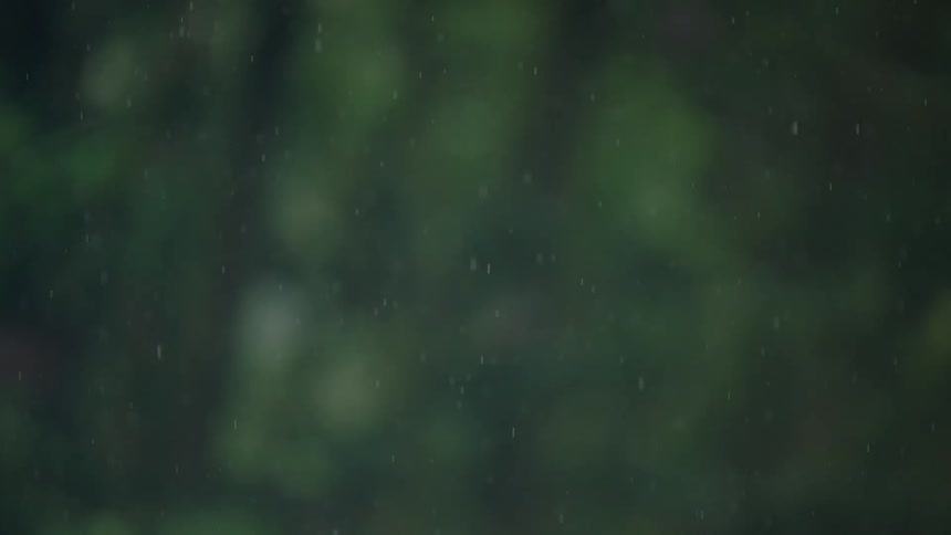 A gentle rain falls in slow motion, shifting focus from a green plant to the soft, blurry foliage in the background