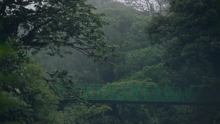 A green suspension bridge is nestled within a foggy and misty tropical rainforest