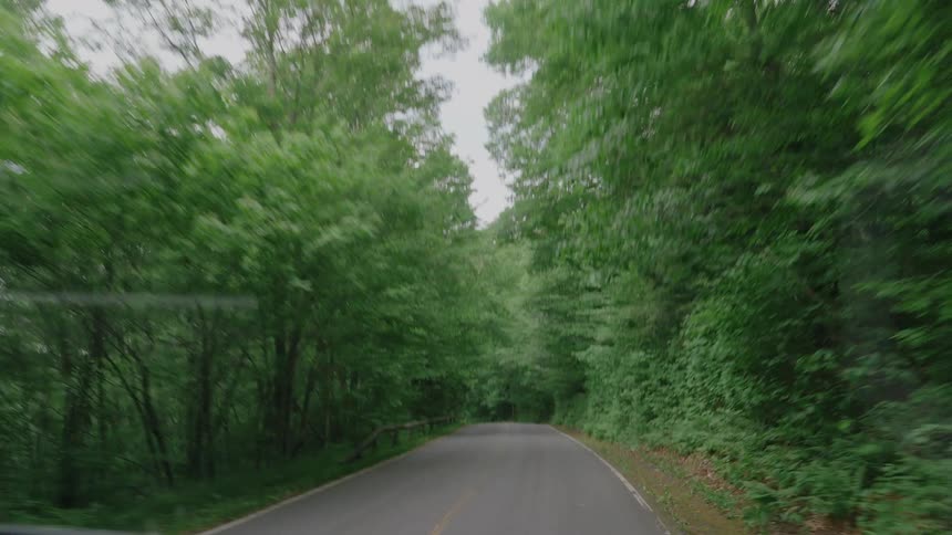 A scenic point-of-view drive along a winding paved road through a lush green forest on an overcast day