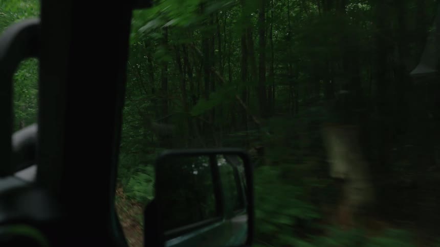 A point-of-view shot from a passenger driving through a dense, green forest with trees blurring past