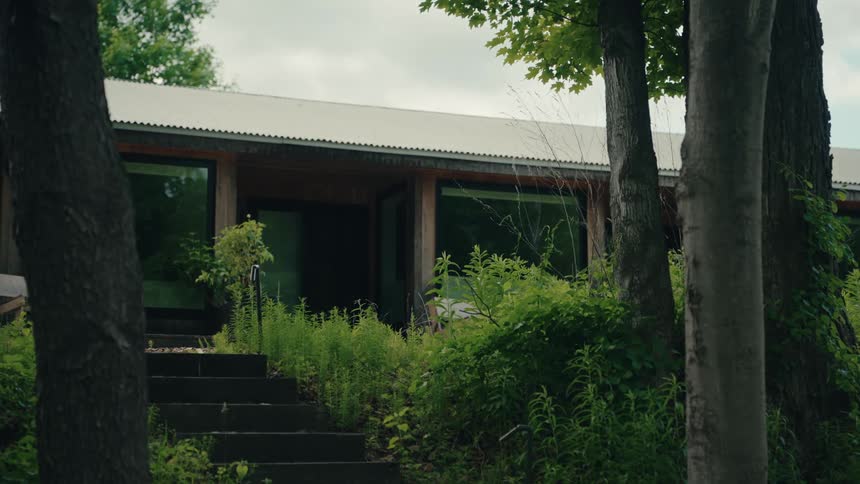 Static shot of a secluded modern cabin nestled in the woods with an overgrown staircase in the foreground