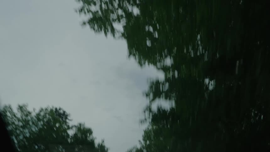 A dizzying point-of-view shot looks up at the blurred tree canopy passing overhead against a gloomy, overcast sky