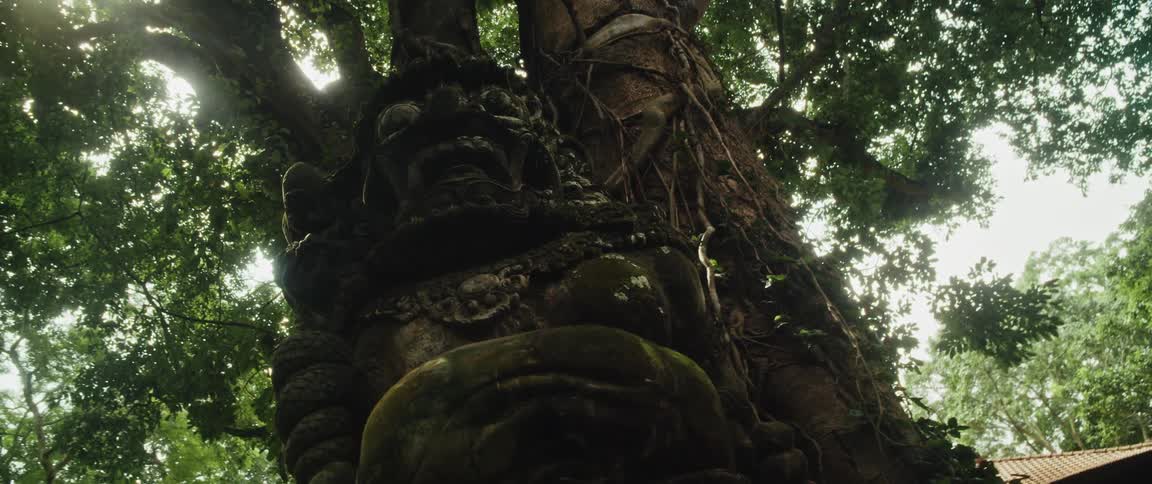 Low angle pan of a mysterious ancient stone statue covered in moss, nestled at the base of a massive tree in a lush jungle