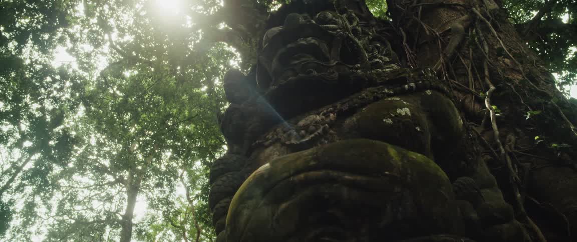 A slow upward pan reveals a mysterious ancient stone statue covered in moss under a giant, sunlit jungle tree