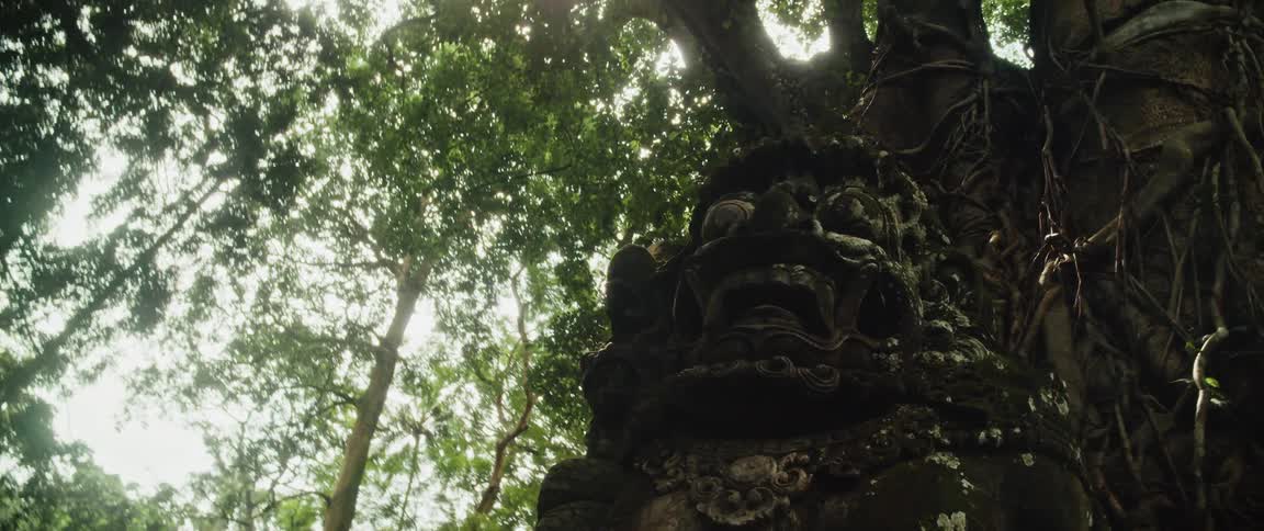 Sunlight filters through the jungle canopy above an old stone guardian statue reclaimed by the roots of a massive tree at a sacred site