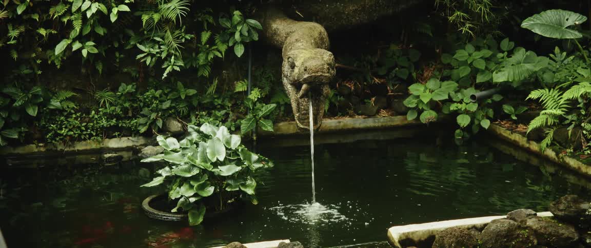 A stone snake sculpture acts as a fountain, pouring water into a tranquil pond surrounded by lush green plants