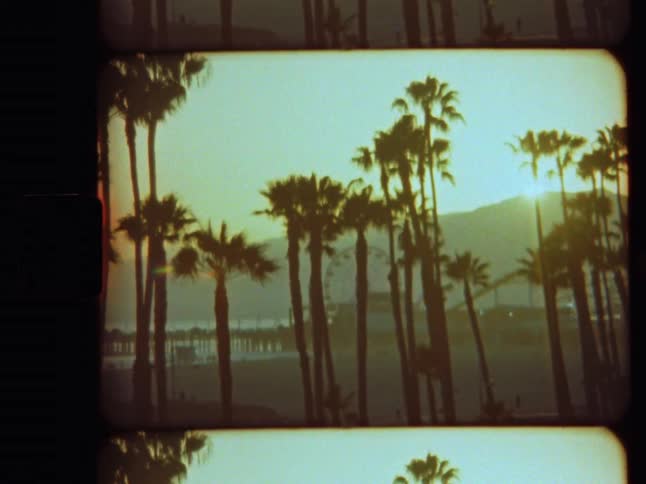 Vintage 8mm film shot of silhouetted palm trees and the Santa Monica Pier at sunset