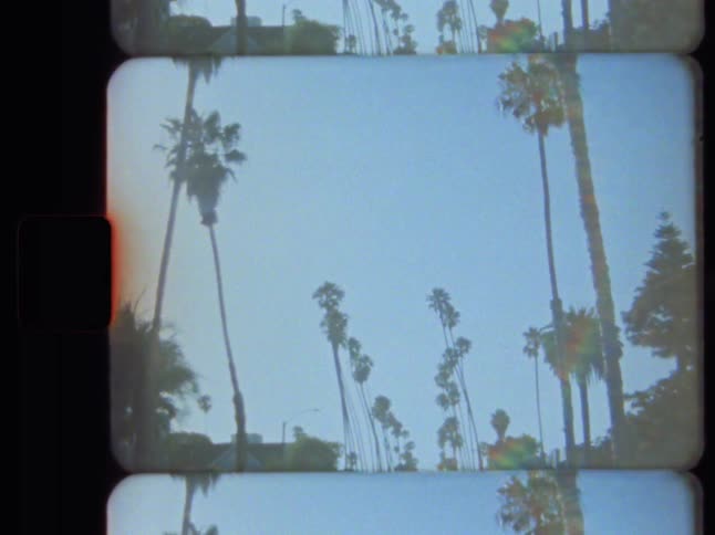 A vintage Super 8 film reel captures the dreamy view of tall California palm trees against a hazy blue sky