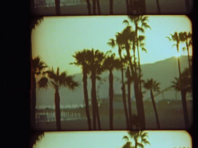 A nostalgic 8mm film view of palm tree silhouettes against a golden sunset at the Santa Monica Pier