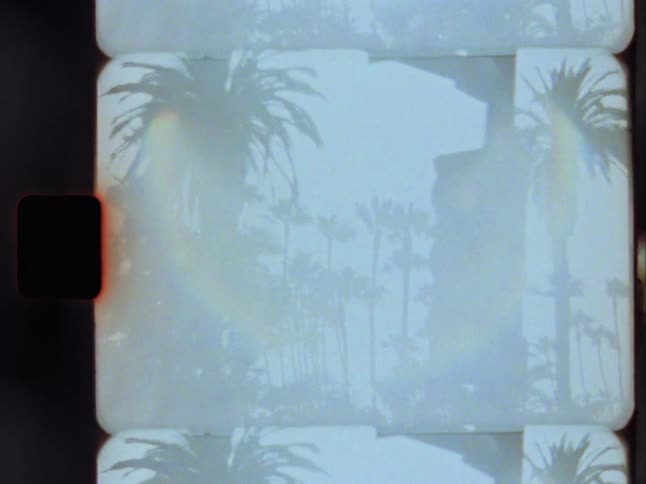 A vintage Super 8 film scan shows hazy silhouettes of palm trees and a traffic light with dreamy light leaks