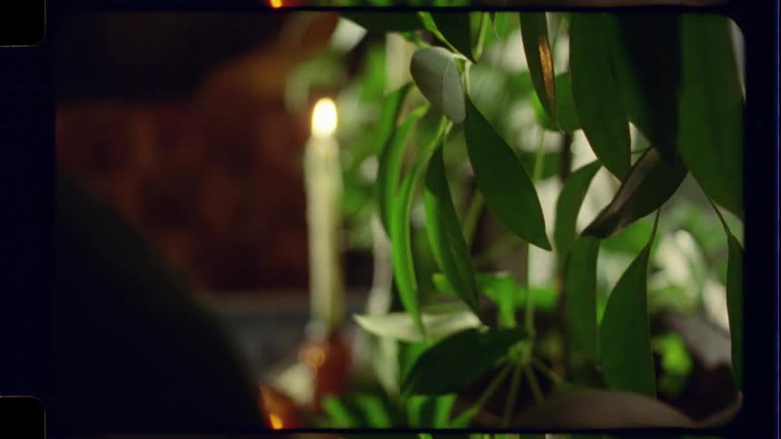A lit candle flickers behind a lush houseplant in a dimly lit, atmospheric room, captured with a vintage film aesthetic
