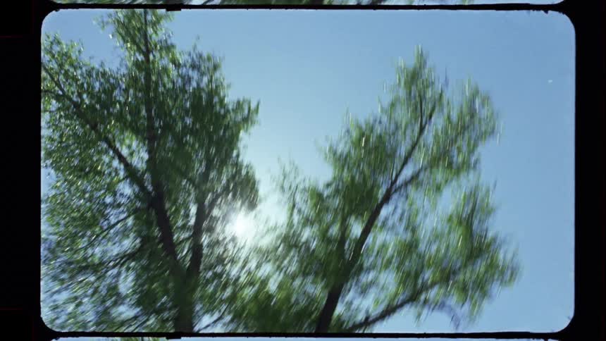 Nostalgic super 8mm film footage shows a spinning low-angle view of a sun-drenched treetop against a clear blue sky