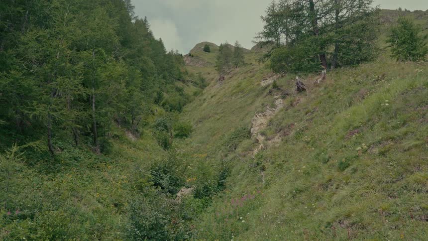 A wide, static shot of a lush green mountain valley with trees and foliage covering the steep slopes under a cloudy sky