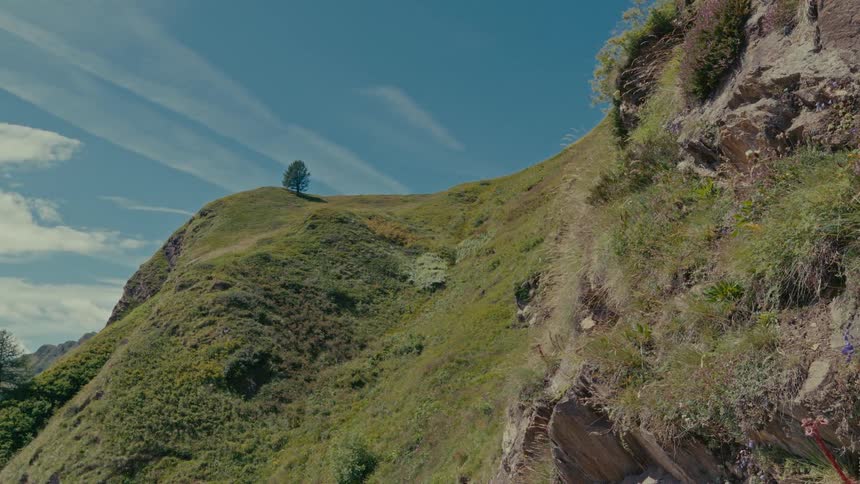 A solitary tree stands atop a lush green mountain peak against a clear blue sky