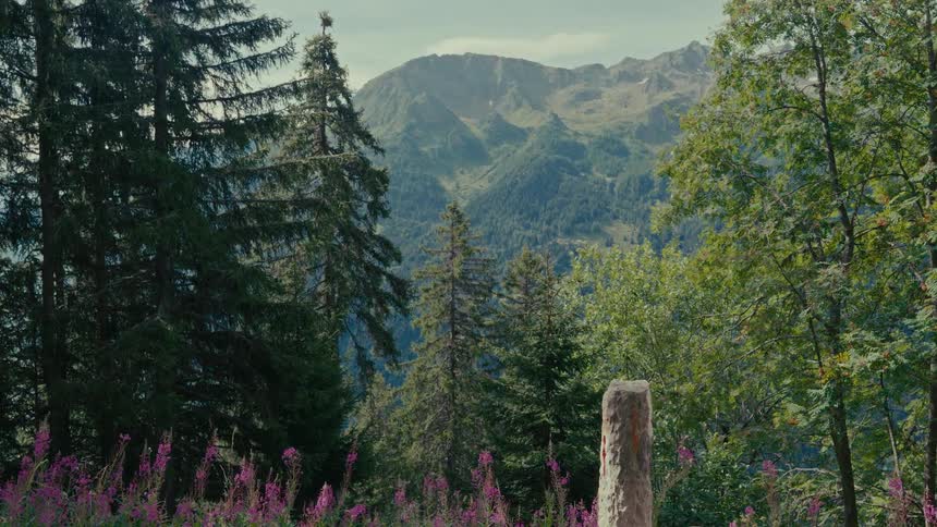 A beautiful mountain landscape is framed by lush green trees and vibrant purple wildflowers