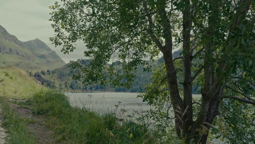 A tranquil view of a shimmering mountain lake from a grassy hill, with a tree's leaves rustling in the gentle breeze