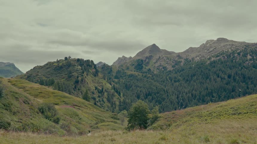 A static wide shot of a serene green mountain valley covered in forests under a cloudy, overcast sky