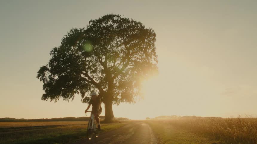 A cyclist rides down a dirt path past a large silhouetted tree in the countryside during a beautiful golden sunset