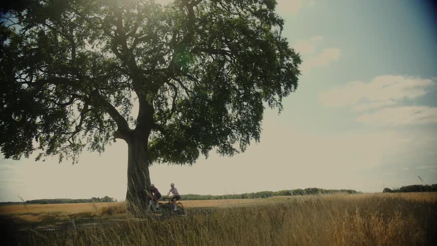 A couple stops under a large tree for a break while cycling through a sunny countryside field