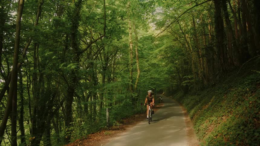 A female cyclist wearing a helmet rides down a quiet paved road through a lush, sun-dappled green forest
