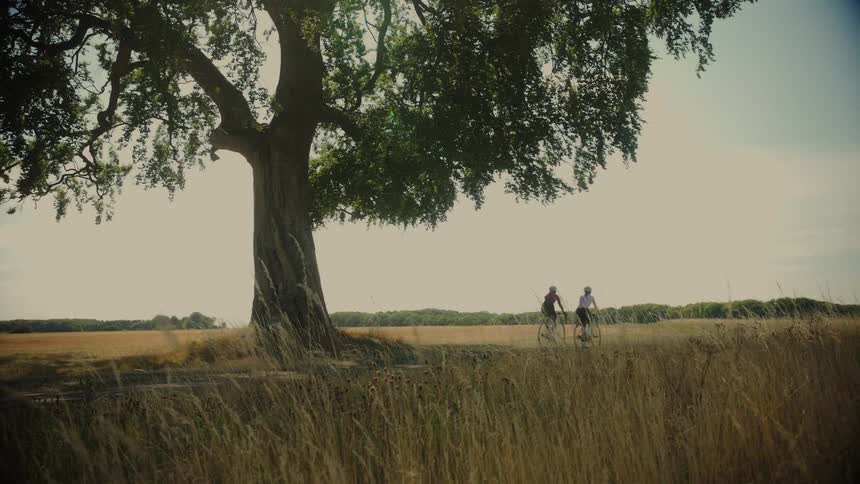 Two women on bicycles ride down a country path, passing under a large, leafy tree on a sunny day