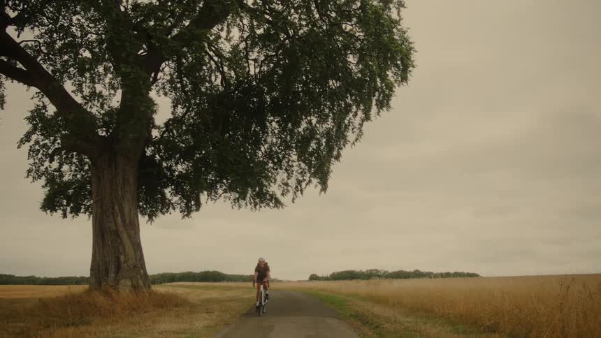 A lone cyclist rides her bicycle down a quiet country road past a large, sprawling tree on a cloudy day