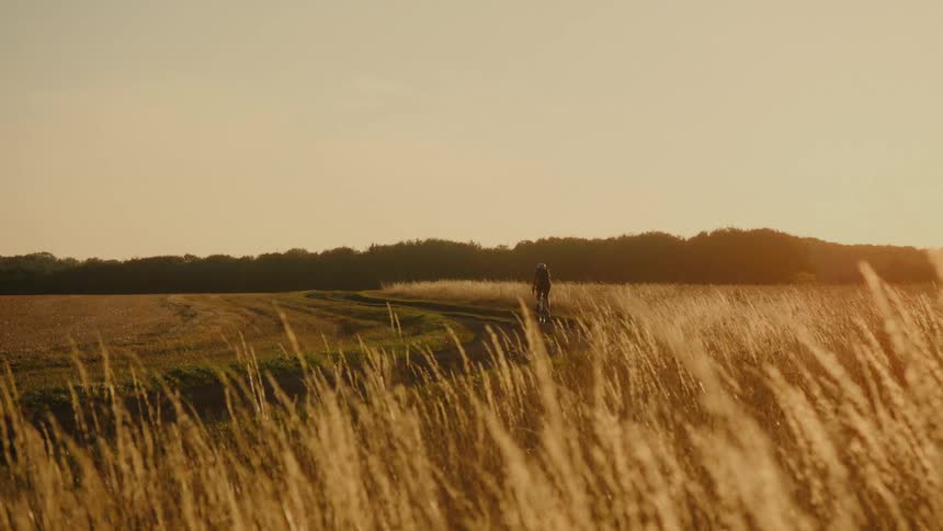 A cyclist rides down a dirt path through a field of tall golden grass during the warm light of sunset