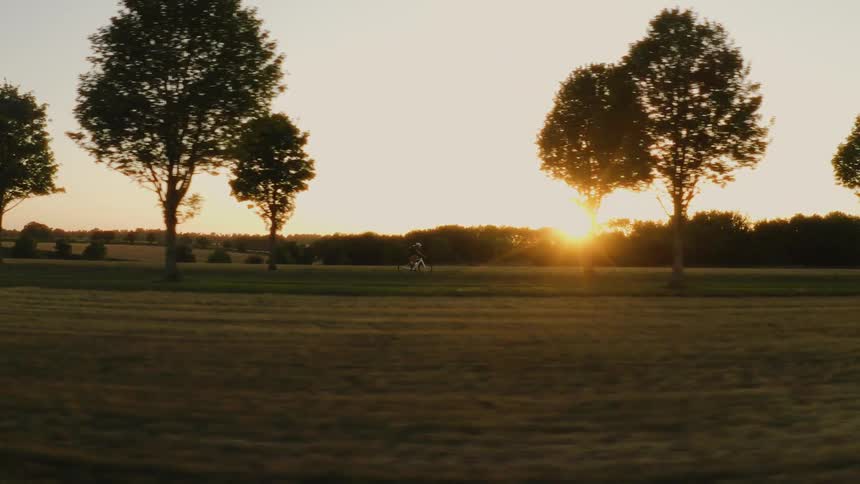 A serene tracking shot follows a silhouetted cyclist riding along a tree-lined country road at golden hour