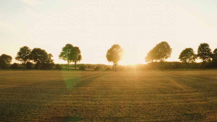 The golden sun sets behind a line of trees, casting a warm glow and long shadows over a peaceful farm field