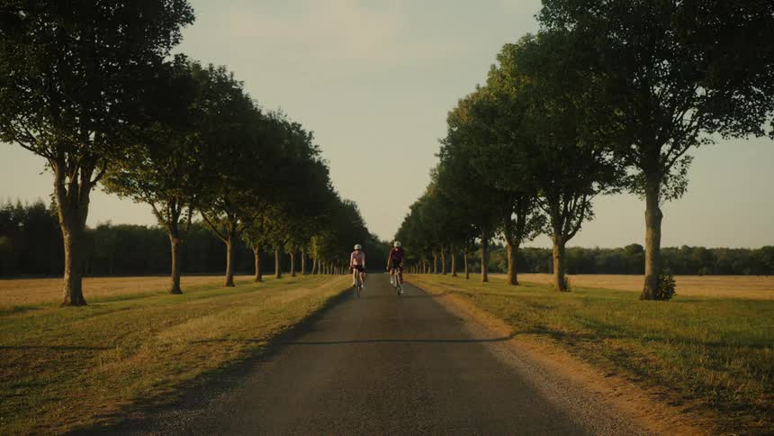 Two female cyclists pedal towards the camera down a symmetrical, tree-lined road through the countryside at golden hour