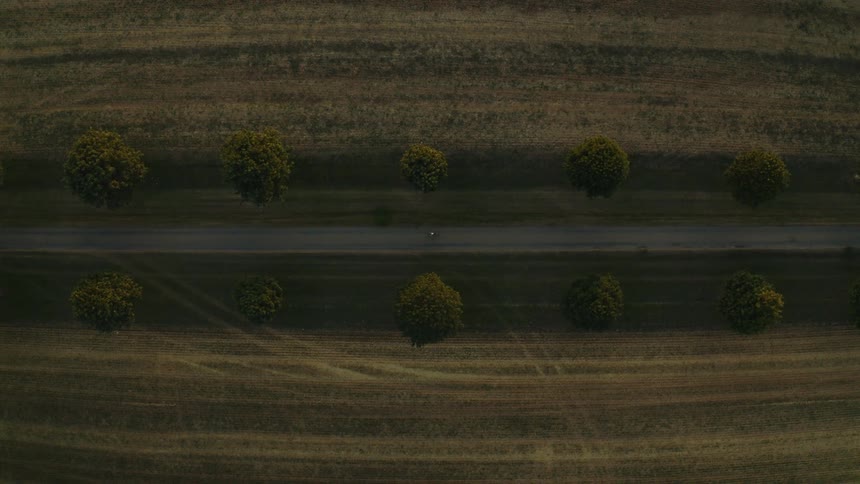 A stunning aerial top-down view shows a lone cyclist riding along a symmetrical tree-lined road through harvested fields at dusk